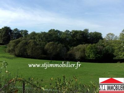 Vente Terrain SAINT-MARTIN-DE-JUSSAC 87200