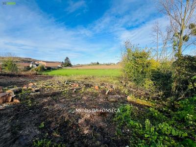 Vente Terrain PORQUERICOURT 60400