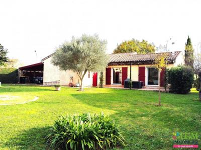 Vente Maison 5 pices GAILLAC 81600