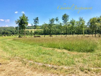 Vente Terrain SAINT-JEAN-DE-COLE 24800