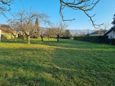 Vente Terrain SAINT-VERAND 38160