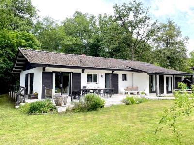 Vente Maison 7 pices SAVIGNY-SUR-CLAIRIS 89150