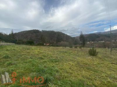 Vente Terrain SAINT-MAURICE-DE-LIGNON 43200