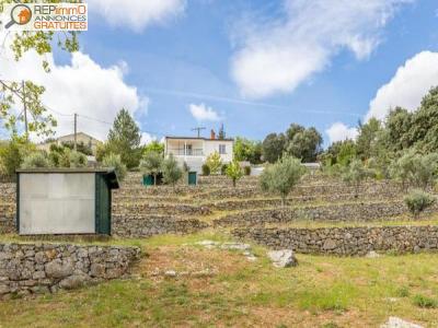 Location Maison 5 pices LODEVE 34700