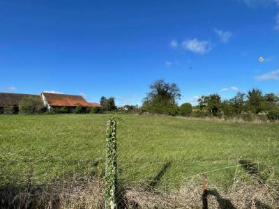 Vente Terrain SAINT-MESMIN 10280