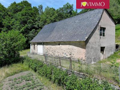 Vente Maison ESTAING 65400