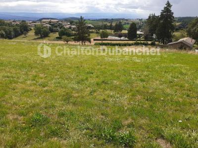 Vente Terrain MONTCHAL 42360