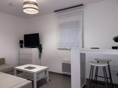 Location Appartement LILLE 59800