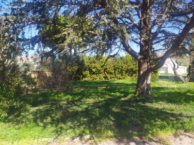 Vente Terrain FARE-LES-OLIVIERS 13580