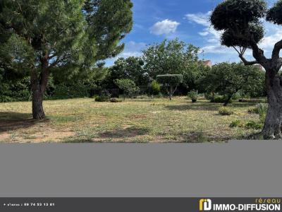 Vente Terrain MARSEILLAN 34340