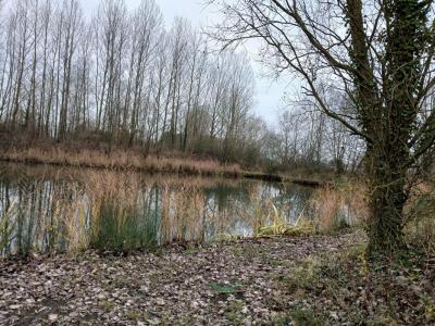 Vente Terrain LILLE 59000