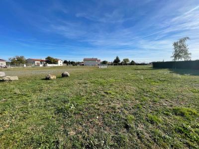 Vente Terrain SAINTE-AGATHE-LA-BOUTERESSE 42130