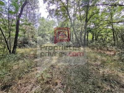 Vente Terrain TRANS-EN-PROVENCE 83720