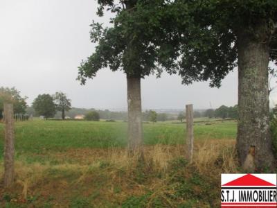 Vente Terrain SAINT-JUNIEN 87200