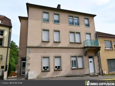 Vente Immeuble HOMBOURG-HAUT 57470