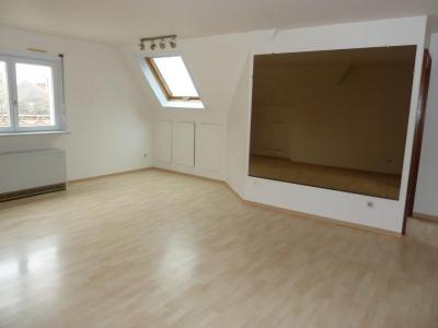 Location Appartement 2 pices HAGUENAU 67500