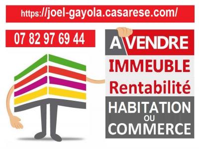 Vente Immeuble CHAINGY 45380