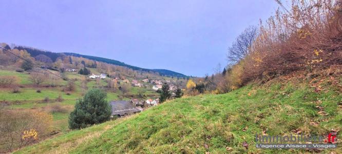 Vente Terrain WILDERSBACH 67130