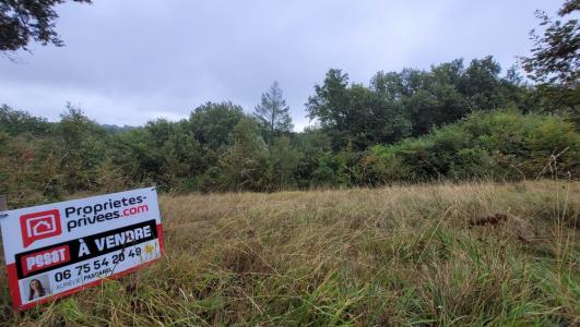 Vente Terrain NOAILLES 19600