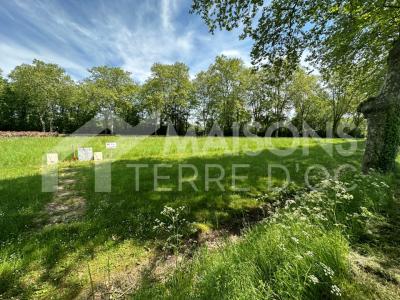 Vente Terrain SOUAL 81580