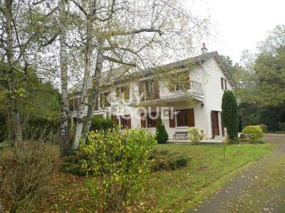 Vente Maison 6 pices APPOIGNY 89380