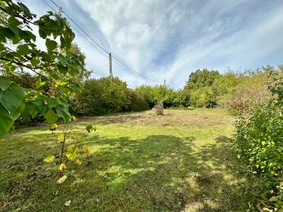 Vente Terrain SOUPPES-SUR-LOING 77460