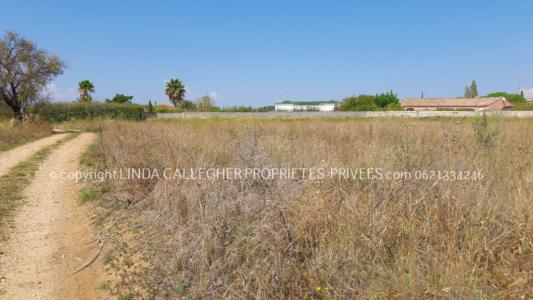 Vente Terrain PEZENAS 34120