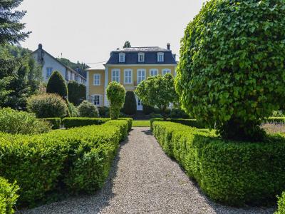 Vente Prestige SAINTE-MARIE-AUX-MINES 68160