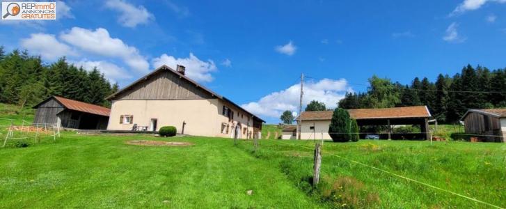 Vente Maison GERARDMER 88400