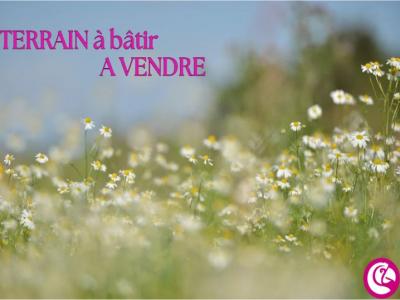 Vente Terrain SAINTE-LUCE-SUR-LOIRE 44980