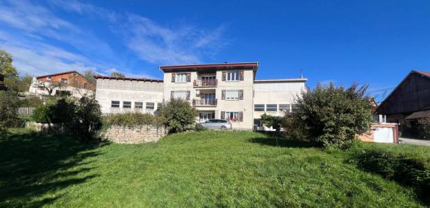 Vente Immeuble MORTEAU 25500