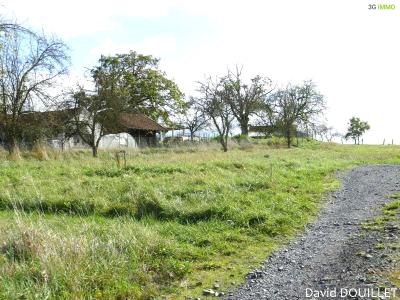 Vente Terrain ROMONT 88700