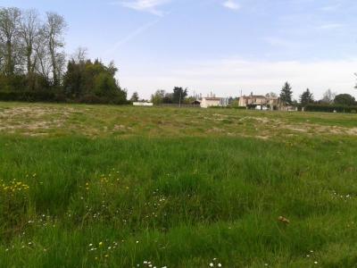 Vente Terrain VILLEMUR-SUR-TARN 31340