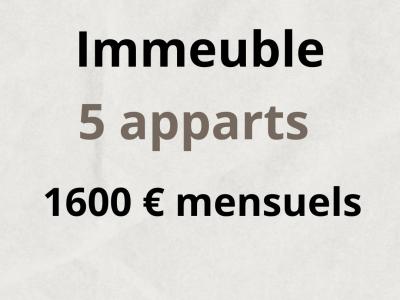 Vente Immeuble MIRANDE 32300