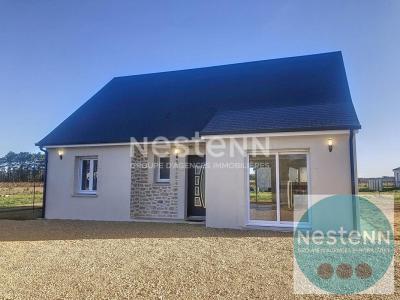 Vente Maison 3 pices CHEMERY 41700