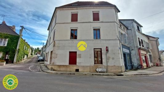 Vente Maison 12 pices RAVIERES 89390