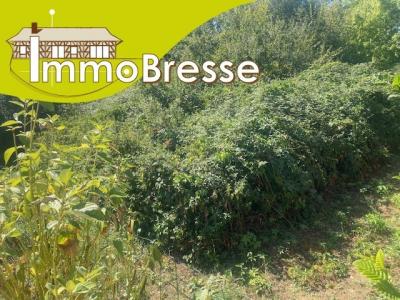 Vente Terrain MONTREVEL-EN-BRESSE 01340