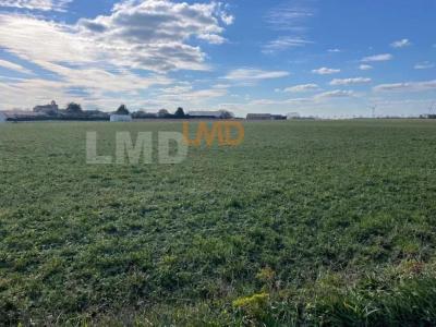 Vente Terrain CROIX-COMTESSE 17330