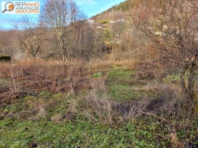 Vente Terrain VENTRON 88310