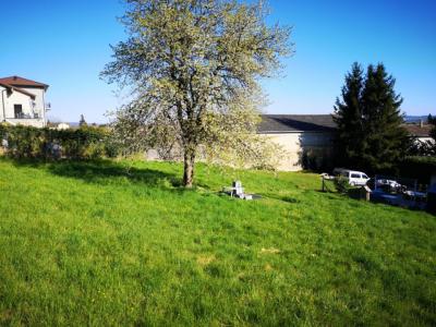 Vente Terrain ROCHES-DE-CONDRIEU 38370