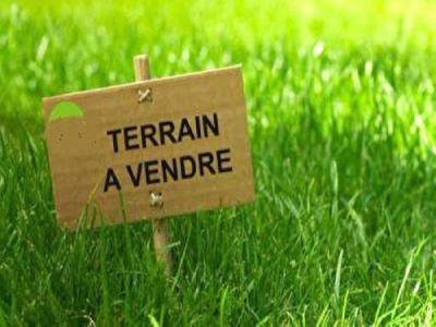 Vente Terrain SAINT-MACAIRE-EN-MAUGES 49450