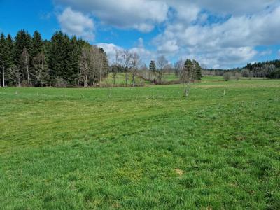 Vente Terrain SAINT-ROMAIN-LACHALM 43620