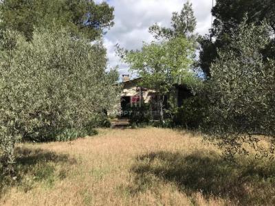 Vente Maison SAINT-REMY-DE-PROVENCE 13210