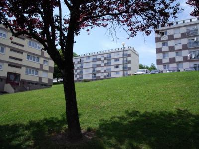 Location Appartement 2 pices MIRECOURT 88500