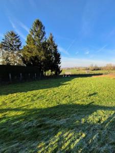 Vente Terrain CUY-SAINT-FIACRE 76220