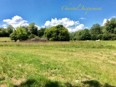 Vente Terrain SAINT-JEAN-DE-COLE 24800