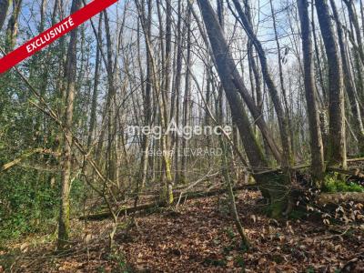 Vente Terrain SAINTE-GEMMES-LE-ROBERT 53600