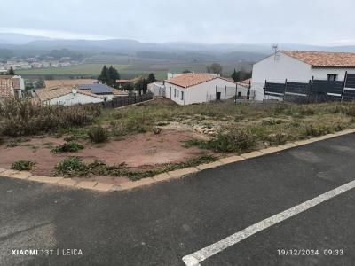 Vente Maison VILLENEUVE-MINERVOIS 11160