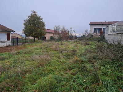 Vente Terrain BELLEGARDE-EN-FOREZ 42210