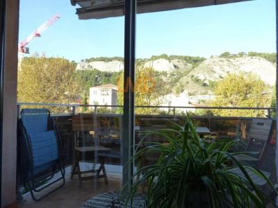 Vente Appartement 3 pices CAVAILLON 84300